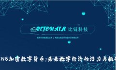 CNB加密数字货币：未来数字经济的潜力与挑战