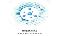如何在Token钱包中充值US
