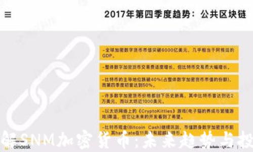 
深入了解SNM加密货币：未来趋势与投资价值