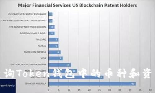 如何查询Token钱包中的币种和资产信息