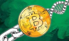 v-token钱包30：全面解析与使用指南